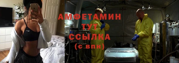 спиды Богородицк