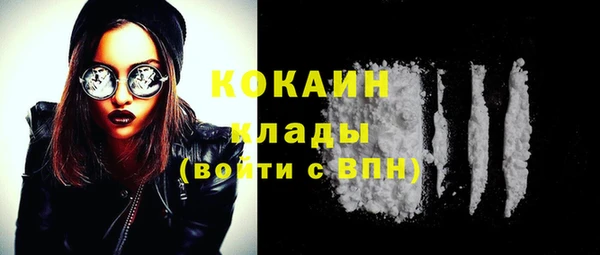 спиды Богородицк