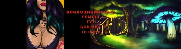 гидропоника Бородино