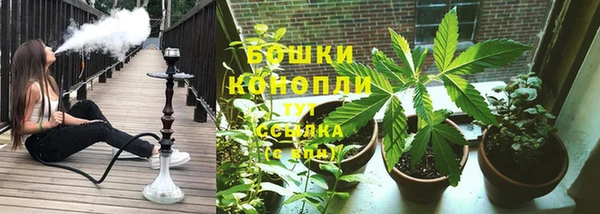 гидропоника Бородино
