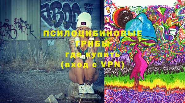 спиды Богородицк