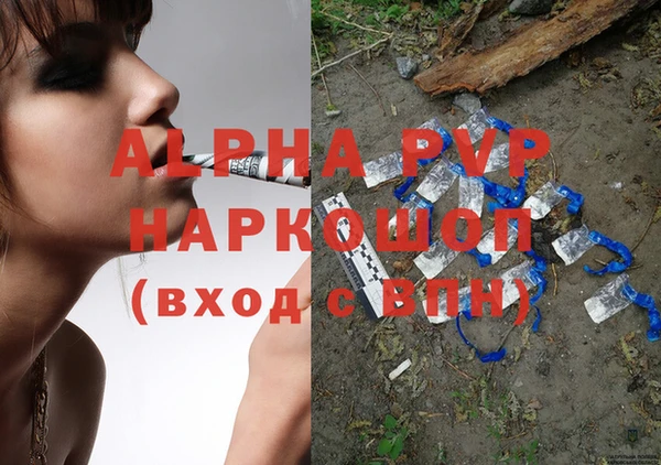 спиды Богородицк