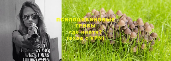 гидропоника Бородино
