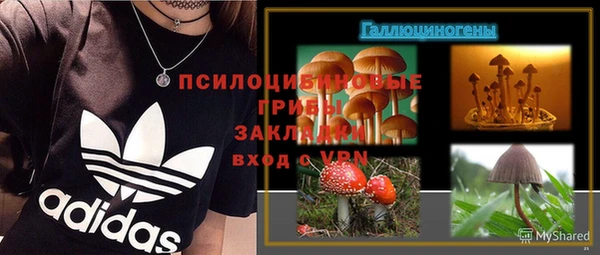 крисы Бугульма